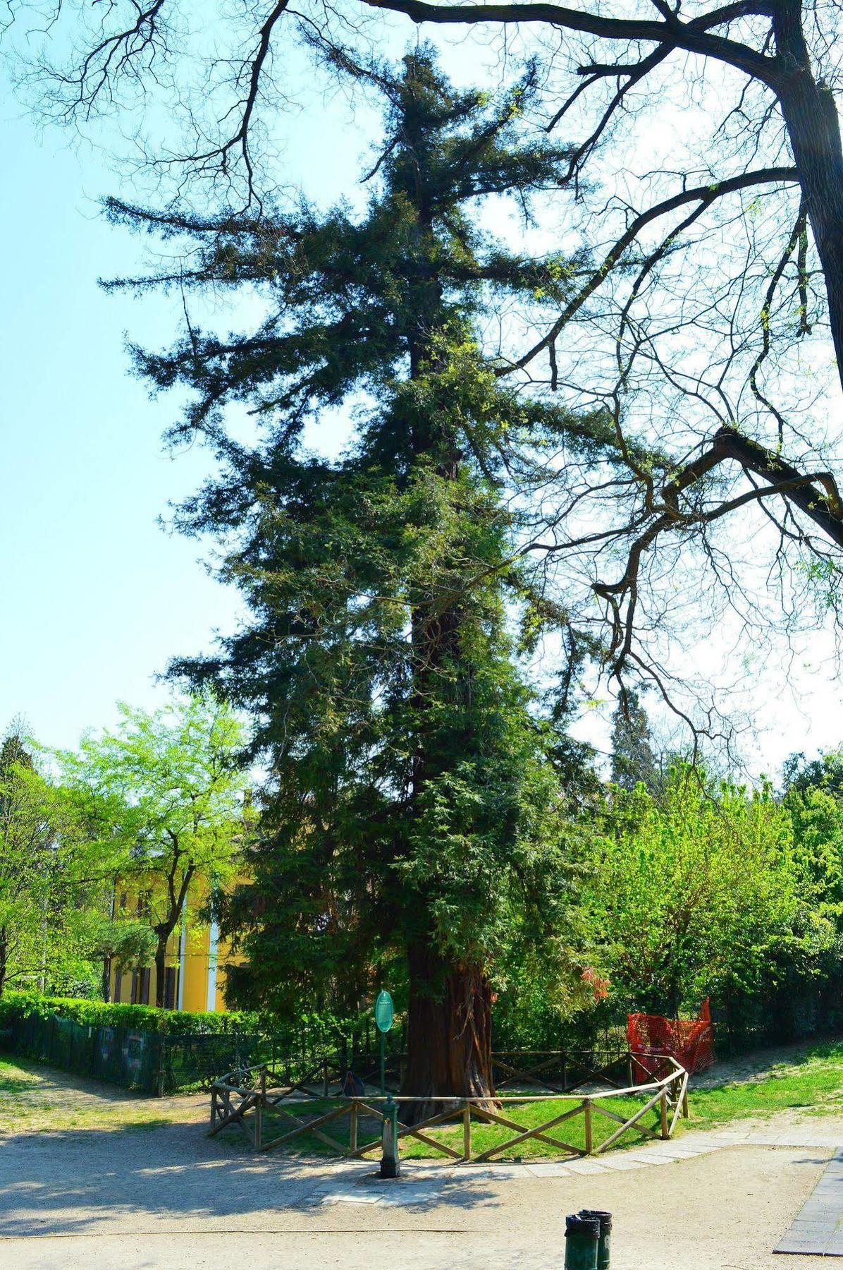 Il Giardino Nel Parco R&B Bolonha Exterior foto
